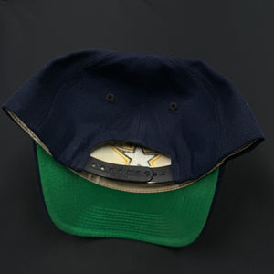 Vintage Dallas Stars SS PL Snapback Hat