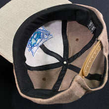 Load image into Gallery viewer, Worcester Ice Cats Tan Beige Snapback Hat