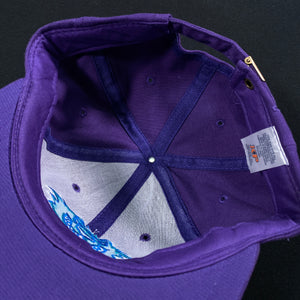 Worcester Ice Cats Purple Scratch Strapback Hat