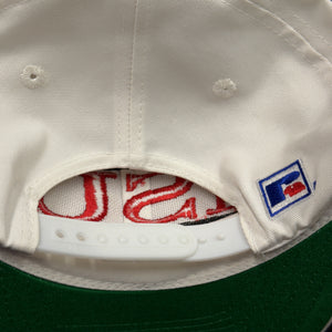 Vintage Illinois State University Split Bar Snapback Hat