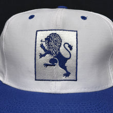 Load image into Gallery viewer, Vintage Mount Holyoke College Snapback Hat