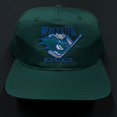 Worcester Ice Cats Green Twill Snapback Hat