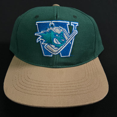Worcester Ice Cats Green Tan Snapback Hat