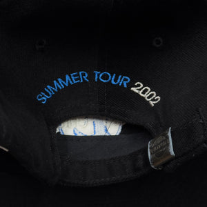 Vintage 2002 Melissa Etheridge Strapback Hat