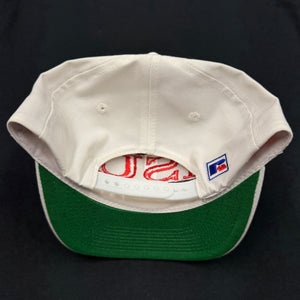 Vintage Illinois State University Split Bar Snapback Hat
