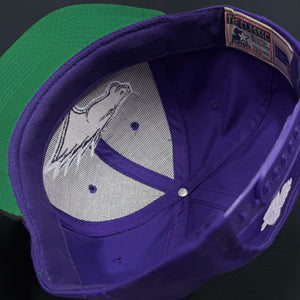 Vintage St. Louis Stallions Starter Snapback Hat
