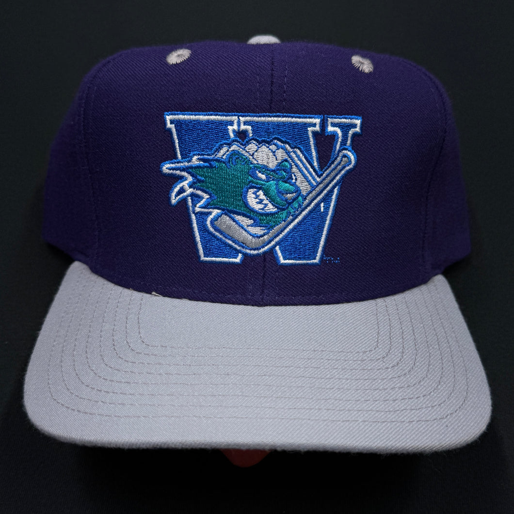 Worcester Ice Cats Purple Gray Snapback Hat