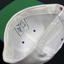 Load image into Gallery viewer, Vintage Mount Holyoke College Snapback Hat