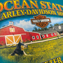 Load image into Gallery viewer, Harley Davidson Exeter RI Shirt M