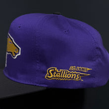 Load image into Gallery viewer, Vintage St. Louis Stallions Starter Snapback Hat