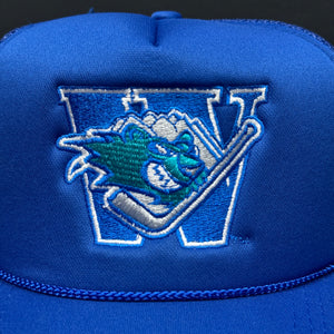 Worcester Ice Cats Blue Mesh Snapback Hat