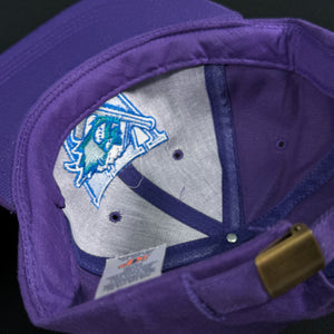 Worcester Ice Cats Purple Strapback Snapback Hat