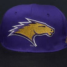 Load image into Gallery viewer, Vintage St. Louis Stallions Starter Snapback Hat