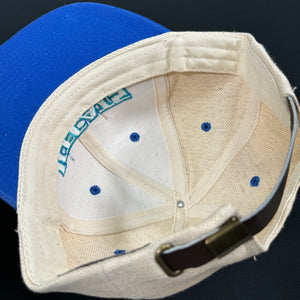 Worcester Ice Cats Beige Blue Strapback Hat