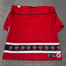 Load image into Gallery viewer, Vintage 2003 AHL All Star Game Jersey L