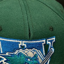 Load image into Gallery viewer, Worcester Ice Cats Green Tan Snapback Hat