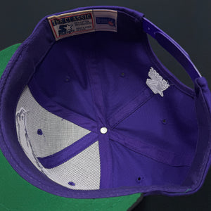 Vintage St. Louis Stallions Starter Snapback Hat