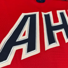 Load image into Gallery viewer, Vintage 2003 AHL All Star Game Jersey L