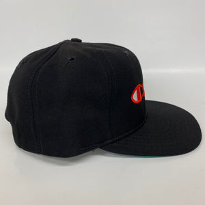 Vintage Champion Spell Out Snapback Hat