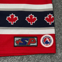 Load image into Gallery viewer, Vintage 2003 AHL All Star Game Jersey L
