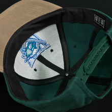 Load image into Gallery viewer, Worcester Ice Cats Green Tan Snapback Hat