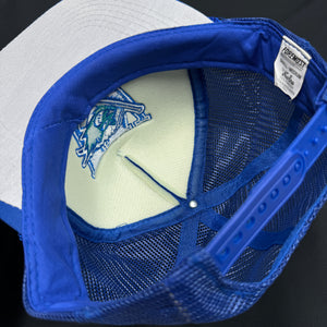 Worcester Ice Cats Blue Mesh Snapback Hat