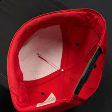 Load image into Gallery viewer, Vintage Tasmanian Devil Big Face Snapback Hat