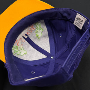 Vintage Nickelodeon Slime Snapback Hat