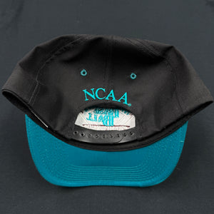 Vintage 1995 NCAA D2 Baseball Championship Snapback Hat