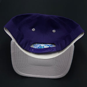 Worcester Ice Cats Purple Gray Snapback Hat