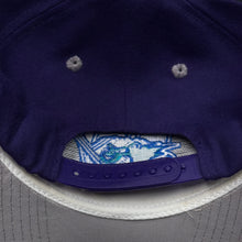 Load image into Gallery viewer, Worcester Ice Cats Purple Gray Snapback Hat