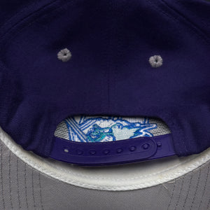 Worcester Ice Cats Purple Gray Snapback Hat