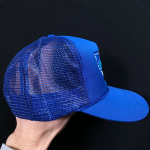 Worcester Ice Cats Royal Blue Mesh Snapback Hat