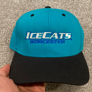 Worcester Ice Cats Teal Black Spell Out Snapback Hat