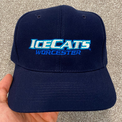 Worcester Ice Cats Navy Spell Out Snapback Hat