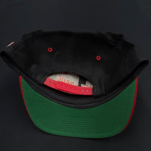 Vintage Portland Trailblazers Snapback Hat NWT