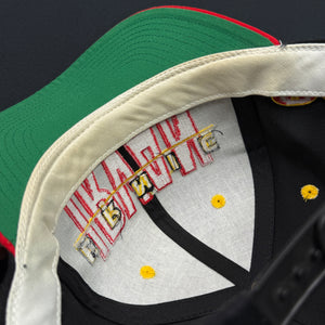 Vintage Ernie Irvan NASCAR Racing Snapback Hat
