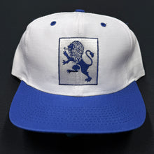 Load image into Gallery viewer, Vintage Mount Holyoke College Snapback Hat