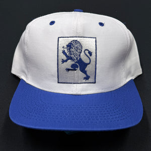Vintage Mount Holyoke College Snapback Hat