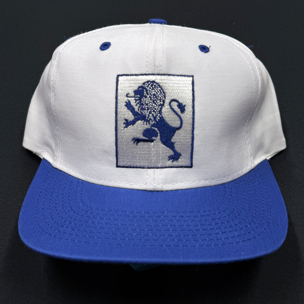 Vintage Mount Holyoke College Snapback Hat