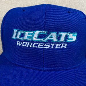 Worcester Ice Cats Royal Blue Snapback Hat