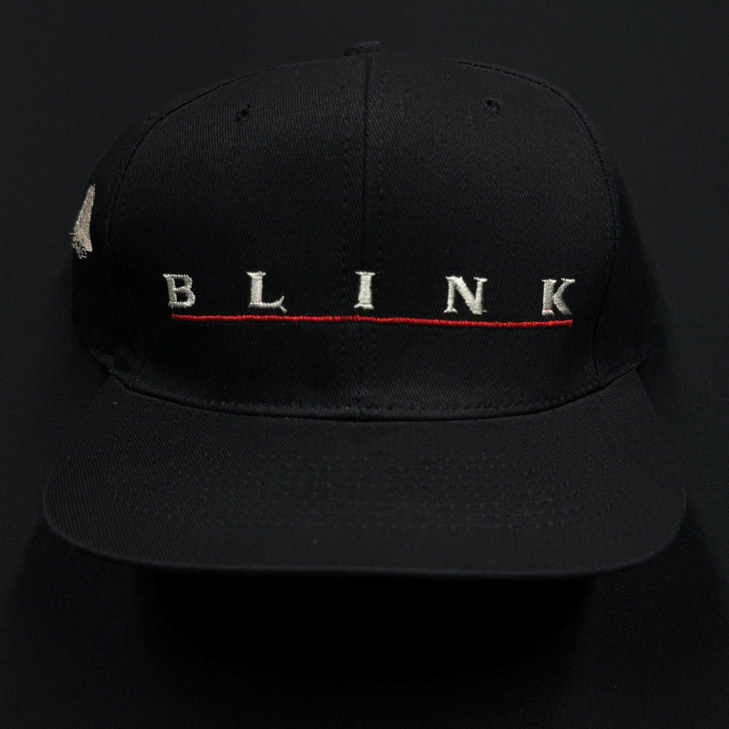 Vintage 1993 Blink Movie Snapback Hat