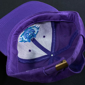 Worcester Ice Cats Purple Scratch Strapback Hat