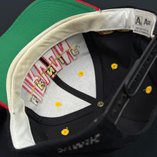 Load image into Gallery viewer, Vintage Ernie Irvan NASCAR Racing Snapback Hat