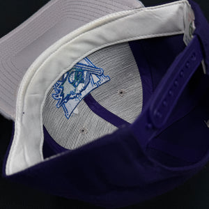 Worcester Ice Cats Purple Gray Snapback Hat