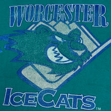 Load image into Gallery viewer, Vintage Worcester Ice Cats AHL Shirt S