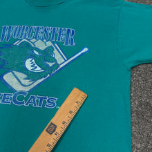 Load image into Gallery viewer, Vintage Worcester Ice Cats AHL Shirt S