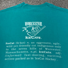 Load image into Gallery viewer, Vintage Worcester Ice Cats AHL Shirt S