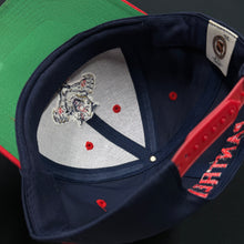 Load image into Gallery viewer, Vintage Florida Panthers PL Snapback Hat