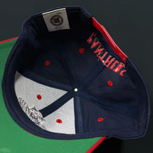 Load image into Gallery viewer, Vintage Florida Panthers PL Snapback Hat
